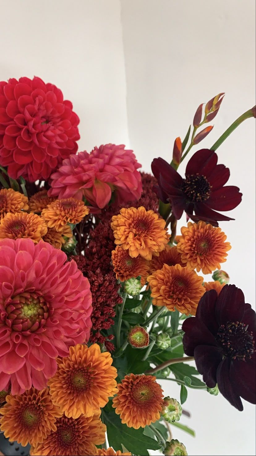 Red and pink dahlias with orange chrysanthemums, chocolate cosmos and sedum